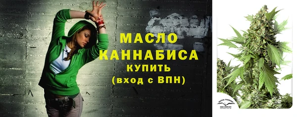 хмурый Абаза