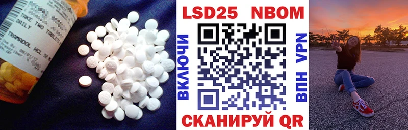 Лсд 25 экстази ecstasy  где купить наркоту  Новоалександровск 