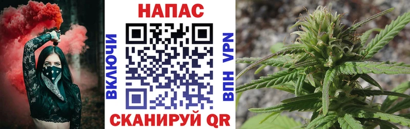 купить   мега ONION  Конопля White Widow  Новоалександровск 